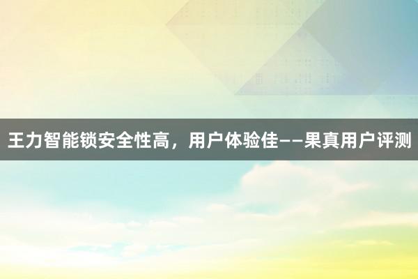 王力智能锁安全性高，用户体验佳——果真用户评测